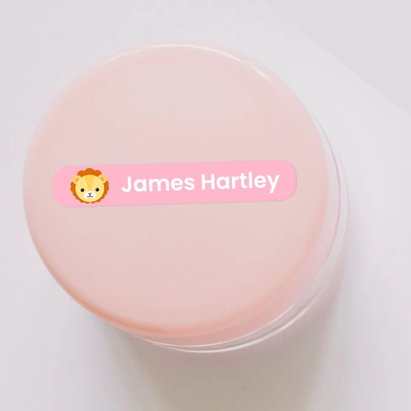 1–320 Stück individuelle Carto – Personalized Name Box Bewertung und Preis